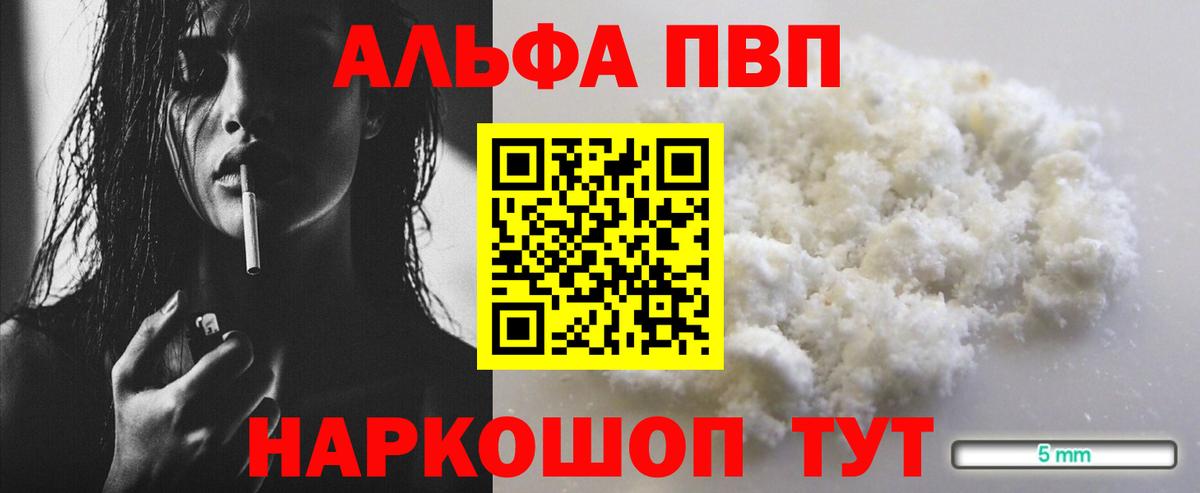 Alfa_PVP СК Краснознаменск