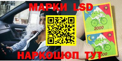 стаф Камышлов