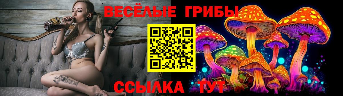 Галлюциногенные грибы GOLDEN TEACHER Краснознаменск